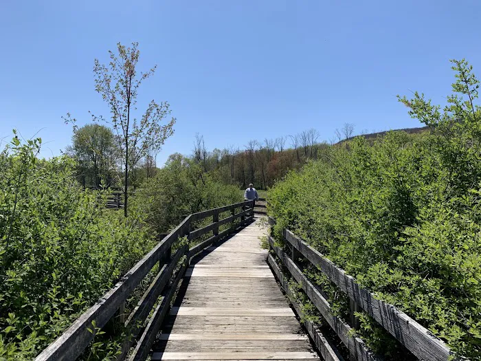 Wetland Trail Picture 8