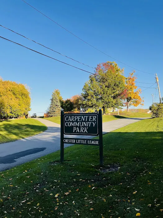 Carpenter Community Park Picture 8