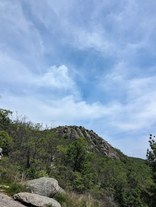 Storm King State Park— Howell Trailhead Picture 8