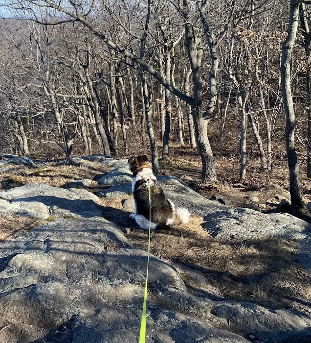 Storm King Trailhead Parking Lot Picture 7