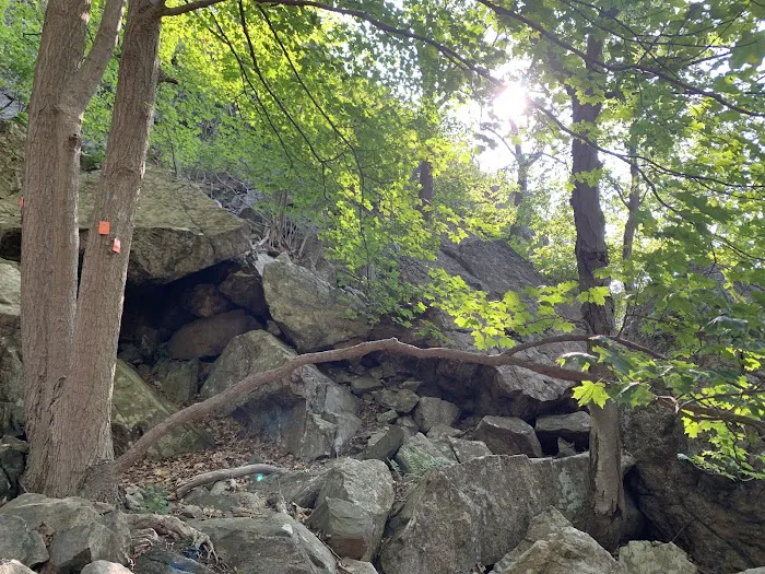 Storm King Trailhead Parking Lot Picture 6