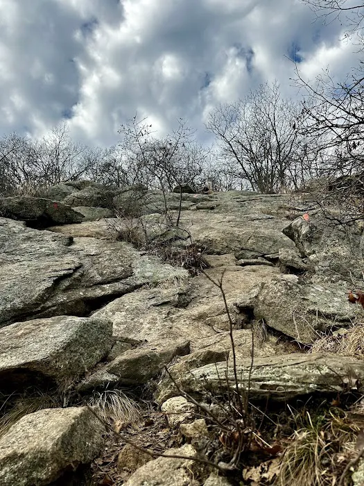 Butter Hill Mountain Picture 7