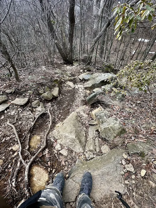 Butter Hill Mountain Picture 6