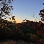 Esty and Hellie Stowell Trailhead
