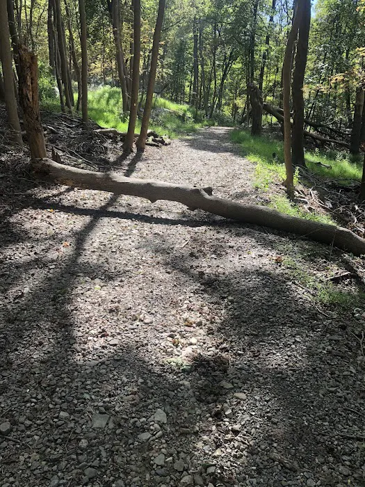 Esty and Hellie Stowell Trailhead Picture 10