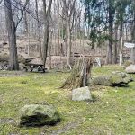 Pagenstecher Park