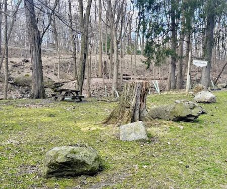 Pagenstecher Park