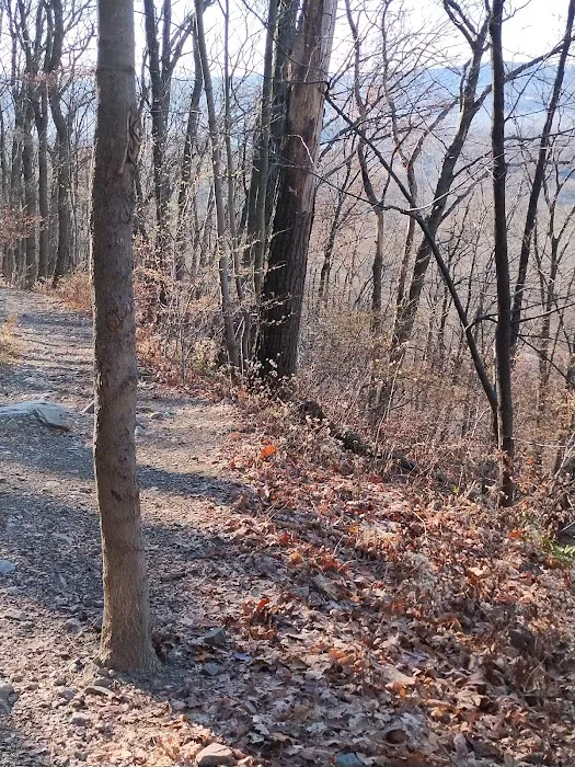 Fishkill Ridge Trail Picture 6