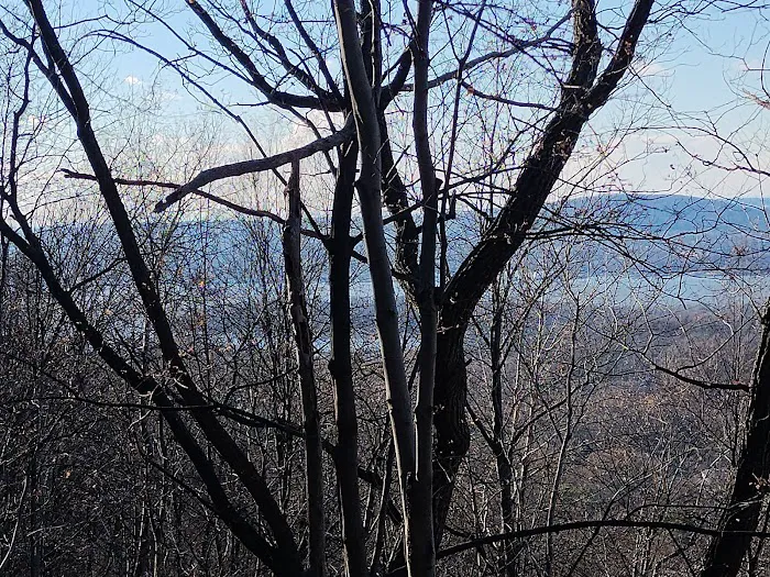 Fishkill Ridge Trail Picture 5