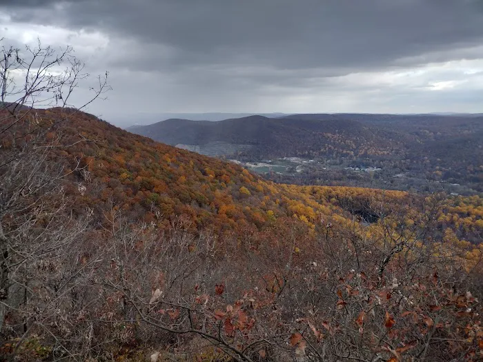 Fishkill Ridge Trail Picture 7