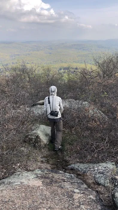 Fishkill Ridge Trail Picture 3
