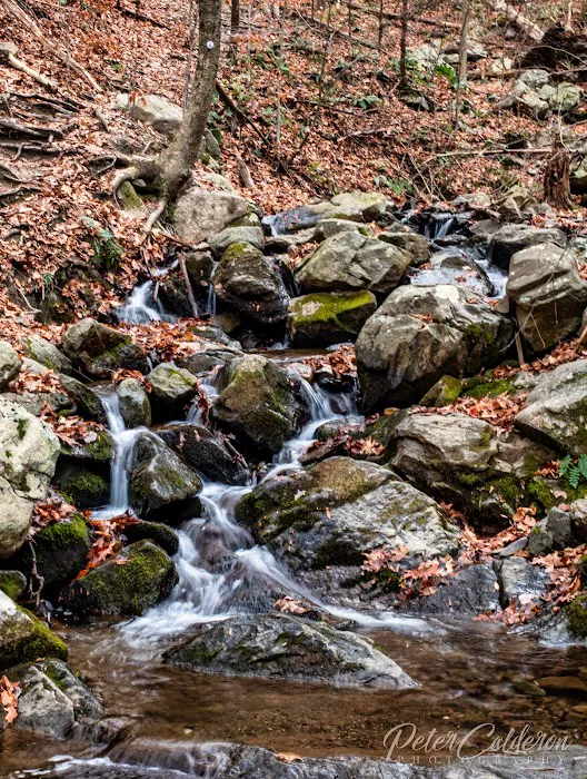 Fishkill Ridge Trail Picture 10