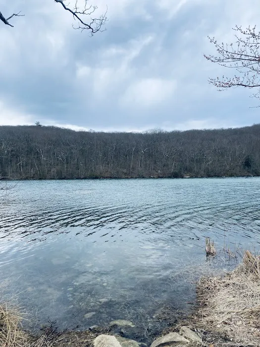 Fishkill Ridge Trail Picture 4