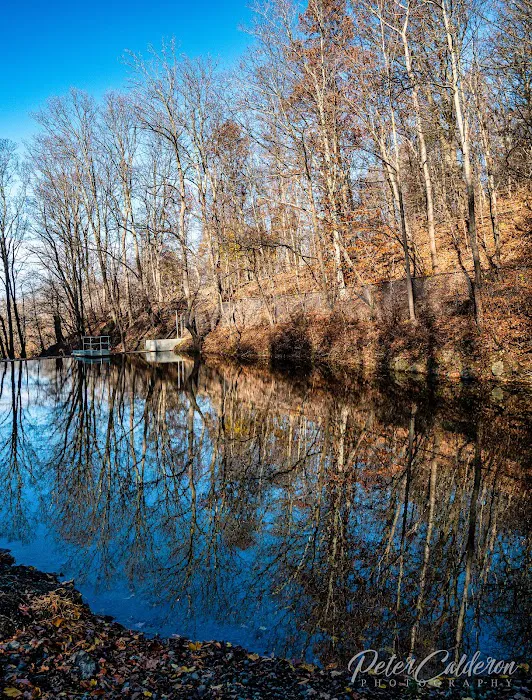 Fishkill Ridge Trail Picture 8