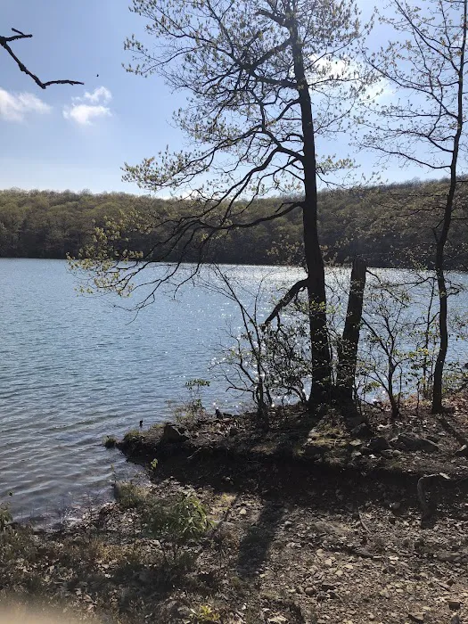 Fishkill Ridge Trail Picture 9