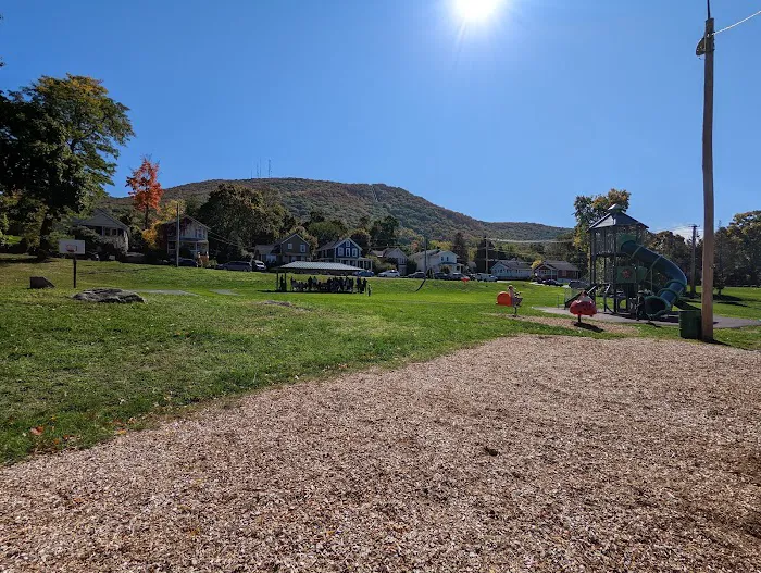 Green Street Park Picture 8