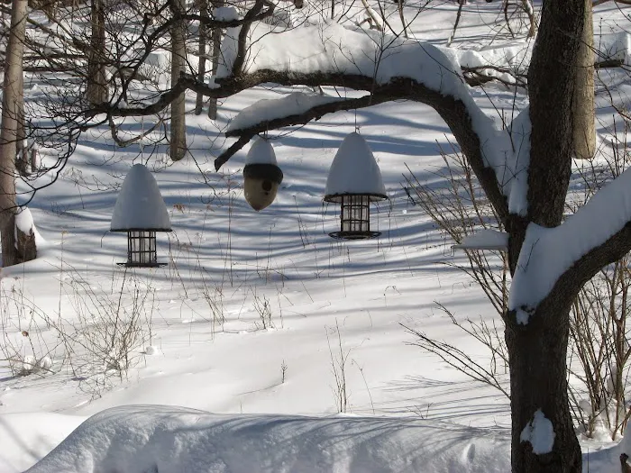 Beacon Hermitage Picture 6