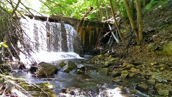 Beacon Hermitage Picture 4