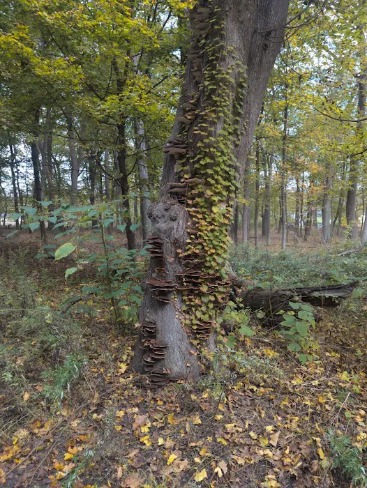 Hiddenbrooke Park Picture 5