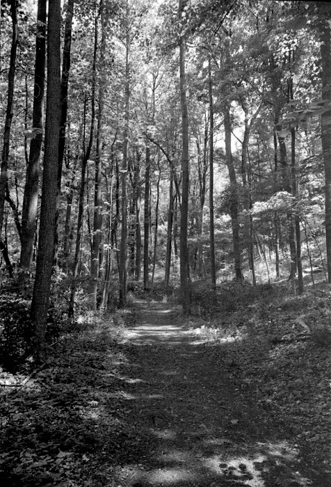 Hiddenbrooke Park Picture 3