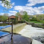 Beacon Wetland Preserve & Wildlife Sanctuary