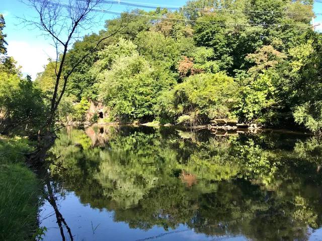 Beacon Wetland Preserve & Wildlife Sanctuary Picture 4