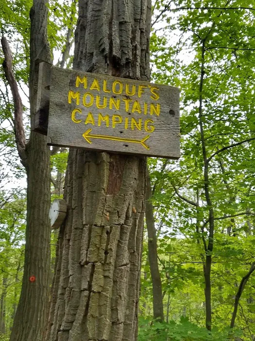 Malouf's Mountain Campground Picture 9
