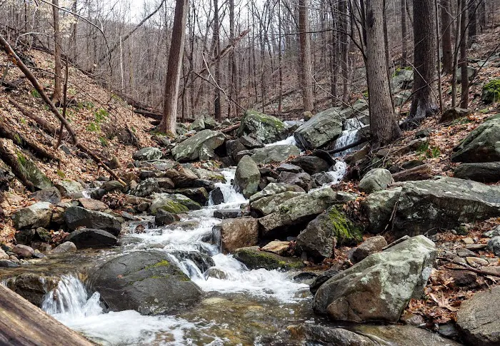 Fishkill Ridge Trail Picture 6