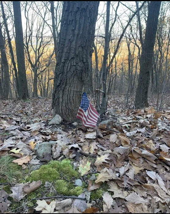 Fishkill Ridge Trail Picture 8