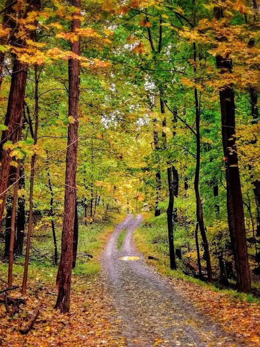 Fishkill Ridge Trail Picture 9