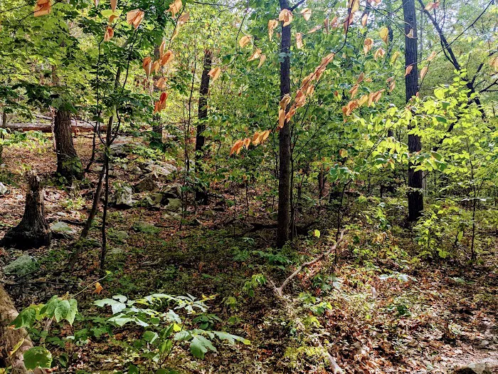Fishkill Ridge Trail Picture 10
