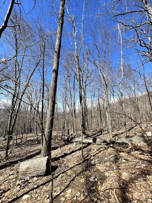 Sugarloaf Mountain Trailhead Picture 1