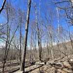 Sugarloaf Mountain Trailhead