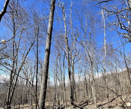 Sugarloaf Mountain Trailhead