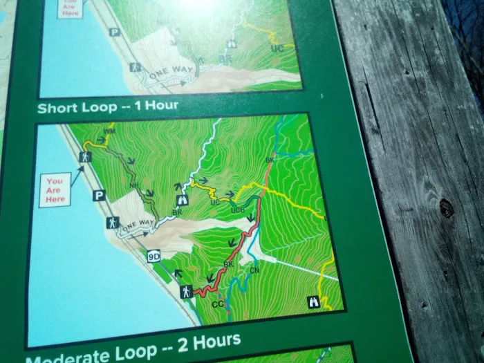 Wilkinson Memorial Trailhead Picture 5