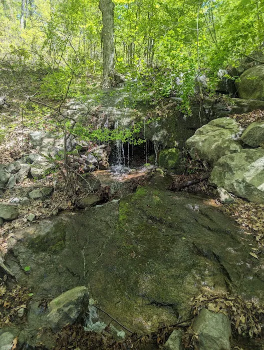 Wilkinson Memorial Trailhead Picture 4