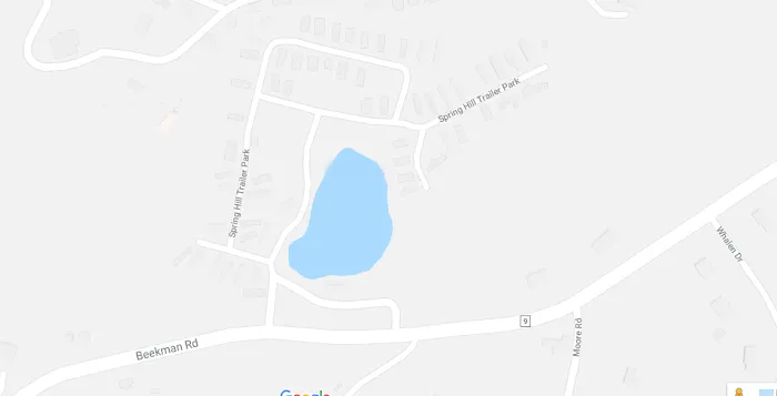 Spring Hill Park LLC Picture 1