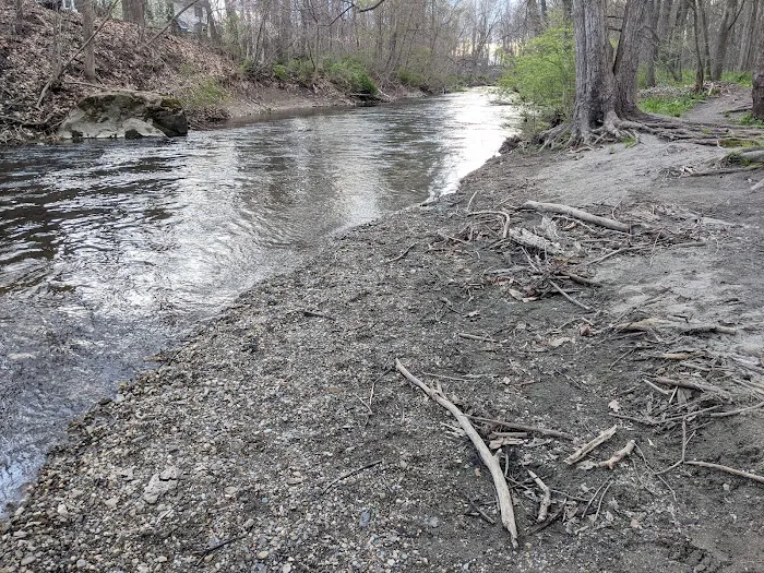 Forest Beach at Hopewell Rec Picture 2