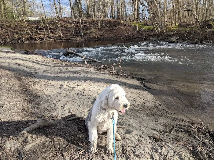 Hopewell Beach Picture 6