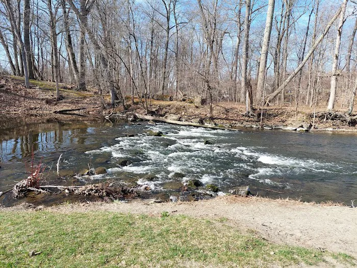 Hopewell Beach Picture 5