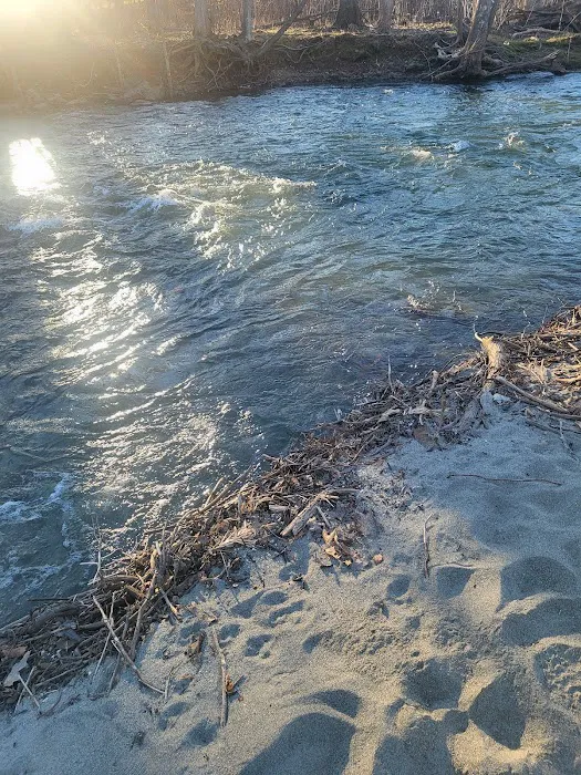 Hopewell Beach Picture 1