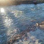 Hopewell Beach