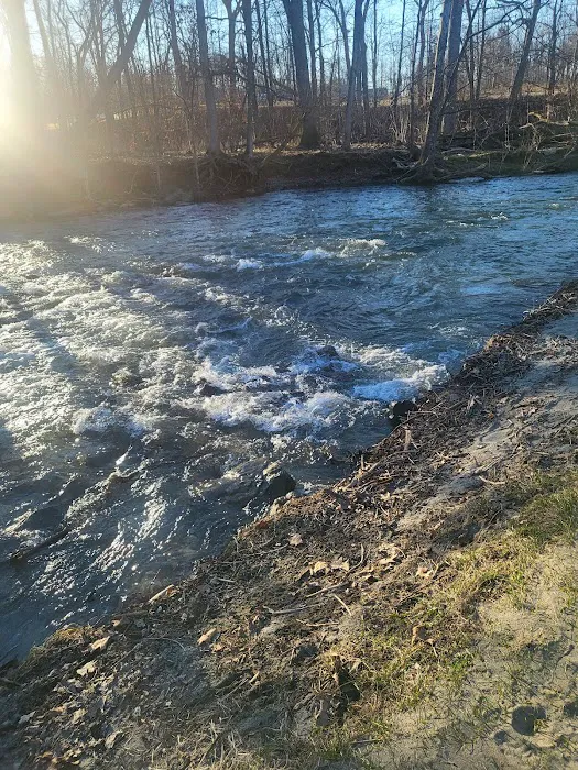 Hopewell Beach Picture 2