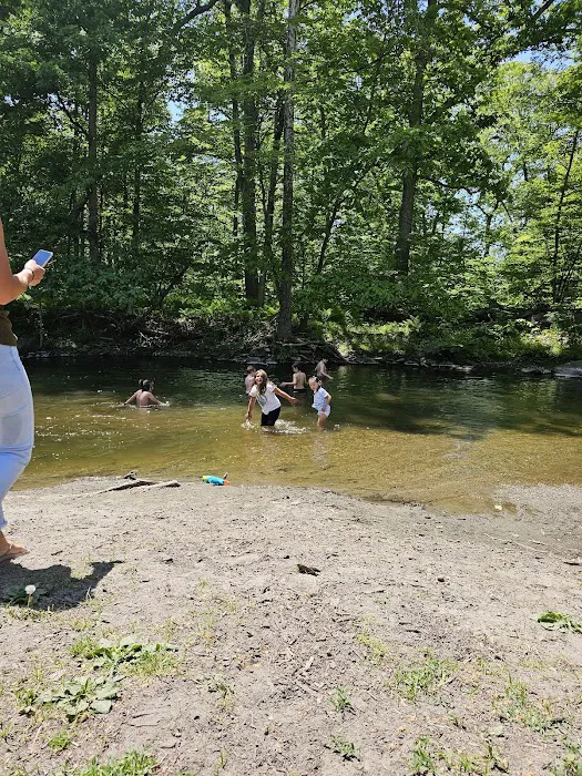 Hopewell Beach Picture 7