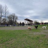 Doug Phillips Park ico