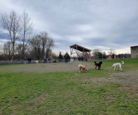 Doug Phillips Park