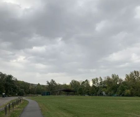 Sarah Taylor Park