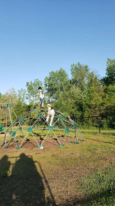 Sarah Taylor Park Picture 4