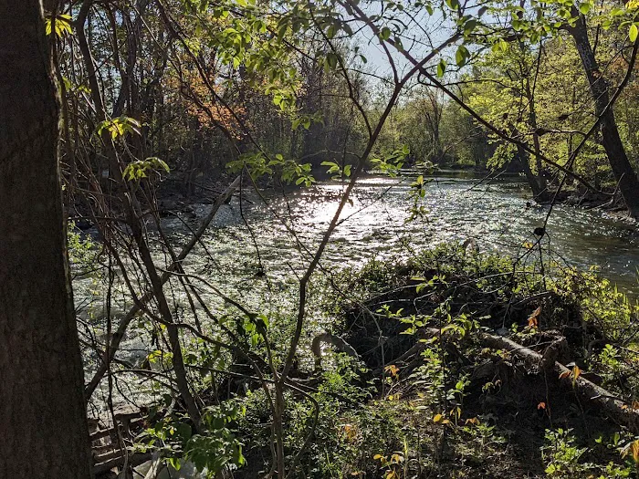 Sarah Taylor Park Picture 9