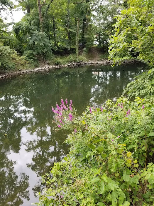 Sarah Taylor Park Picture 10